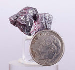 1.7cm PROUSTITE RUBY SILVER Twin Crystal Peru Sulfosalt Translucent Red 2000 Discovery Uchuchaccua Mine Mineral Specimen HE252