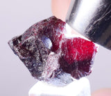 1.7cm PROUSTITE RUBY SILVER Twin Crystal Peru Sulfosalt Translucent Red 2000 Discovery Uchuchaccua Mine Mineral Specimen HE252