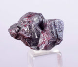 1.7cm PROUSTITE RUBY SILVER Twin Crystal Peru Sulfosalt Translucent Red 2000 Discovery Uchuchaccua Mine Mineral Specimen HE252