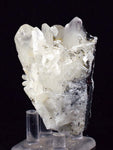 6.3cms HUBNERITE QUARTZ CRYSTALS Mineral Specimen Collector Peru M197