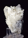 6.3cms HUBNERITE QUARTZ CRYSTALS Mineral Specimen Collector Peru M197