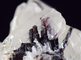 6.3cms HUBNERITE QUARTZ CRYSTALS Mineral Specimen Collector Peru M197