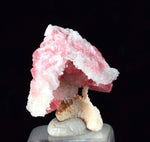 1.6cm RHODOCHROSITE CALCITE QUARTZ Pyrite Gem Crystal Pagoda Tree Rhombohedral Super Miniature Wuzhou Guangxi China Mineral Specimen R370