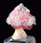 1.6cm RHODOCHROSITE CALCITE QUARTZ Pyrite Gem Crystal Pagoda Tree Rhombohedral Super Miniature Wuzhou Guangxi China Mineral Specimen R370