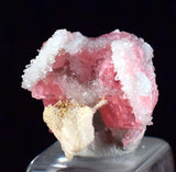 1.6cm RHODOCHROSITE CALCITE QUARTZ Pyrite Gem Crystal Pagoda Tree Rhombohedral Super Miniature Wuzhou Guangxi China Mineral Specimen R370