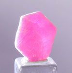 6.5cts RUBY CRYSTAL CORUNDUM Natural Hexagon Translucent Mineral Specimen Gemstone Y62