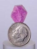 6.5cts RUBY CRYSTAL CORUNDUM Natural Hexagon Translucent Mineral Specimen Gemstone Y62