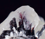6.3cms HUBNERITE QUARTZ CRYSTALS Mineral Specimen Collector Peru M197