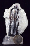 6.3cms HUBNERITE QUARTZ CRYSTALS Mineral Specimen Collector Peru M197