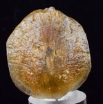 4cms SELENITE DOLLAR BATMAN S Y M B O L Inside Peru Coin Floater Crystal Golden Gypsum Suiseki Translucent Premium Mineral Specimen T374