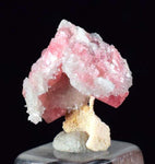 1.6cm RHODOCHROSITE CALCITE QUARTZ Pyrite Gem Crystal Pagoda Tree Rhombohedral Super Miniature Wuzhou Guangxi China Mineral Specimen R370