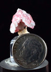 1.6cm RHODOCHROSITE CALCITE QUARTZ Pyrite Gem Crystal Pagoda Tree Rhombohedral Super Miniature Wuzhou Guangxi China Mineral Specimen R370