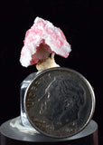 1.6cm RHODOCHROSITE CALCITE QUARTZ Pyrite Gem Crystal Pagoda Tree Rhombohedral Super Miniature Wuzhou Guangxi China Mineral Specimen R370