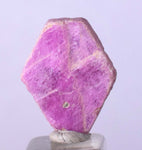 8.5cts RUBY CRYSTAL CORUNDUM Natural Hexagon Translucent Mineral Specimen Gemstone Y63