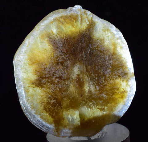4cms SELENITE DOLLAR BATMAN S Y M B O L Inside Peru Coin Floater Crystal Golden Gypsum Suiseki Translucent Premium Mineral Specimen T374
