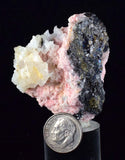 5.1cms RHODOCHROSITE ROSETTE QUARTZ  Peru Pink Crystals Needles Collector Mineral Specimen R378
