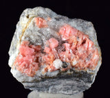 4.1cms RHODOCHROSITE RHOMBOHEDRAL QUARTZ Premium Miniature Crystals Huayllapon Pasto Bueno Mine Peru Collector Mineral Specimen R389