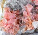 4.1cms RHODOCHROSITE RHOMBOHEDRAL QUARTZ Premium Miniature Crystals Huayllapon Pasto Bueno Mine Peru Collector Mineral Specimen R389