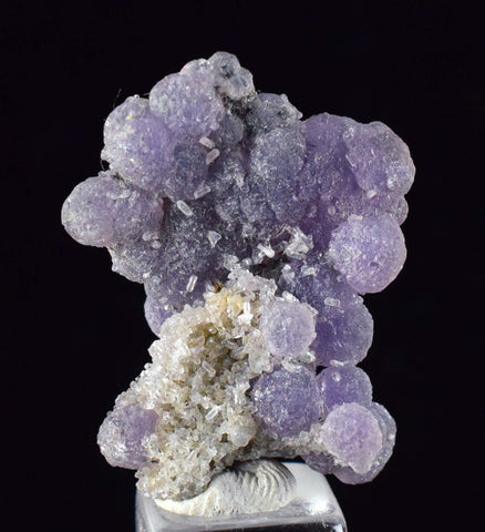 2.7cms AGATE GRAPE BOTRYOIDAL Crystal Chalcedony Quartz Indonesia Pendant A479