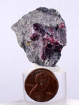 3.5cms PROUSTITE RUBY SILVER Crystals Uchucchacua Mine Peru Mineral Specimen H261