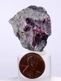 3.5cms PROUSTITE RUBY SILVER Crystals Uchucchacua Mine Peru Mineral Specimen H261