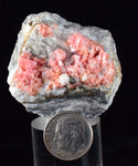 4.1cms RHODOCHROSITE RHOMBOHEDRAL QUARTZ Premium Miniature Crystals Huayllapon Pasto Bueno Mine Peru Collector Mineral Specimen R389