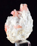 3.3cms RHODOCHROSITE RHOMBOHEDRAL QUARTZ Premium Miniature Crystals Huayllapon Pasto Bueno Mine Peru Collector Mineral Specimen R395