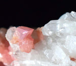 3.3cms RHODOCHROSITE RHOMBOHEDRAL QUARTZ Premium Miniature Crystals Huayllapon Pasto Bueno Mine Peru Collector Mineral Specimen R395