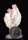 3.3cms RHODOCHROSITE RHOMBOHEDRAL QUARTZ Premium Miniature Crystals Huayllapon Pasto Bueno Mine Peru Collector Mineral Specimen R395