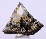 3.6cms APATITE SIDERITE QUARTZ Crystals Chalcopyrite Bornite Pyrite Peru Mineral Specimen A492