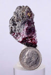 3.5cms PROUSTITE RUBY SILVER Galena Pyrite Crystals Uchucchacua Mine Peru Mineal Specimen H260