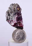 3.5cms PROUSTITE RUBY SILVER Galena Pyrite Crystals Uchucchacua Mine Peru Mineal Specimen H260