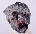 3.5cms PROUSTITE RUBY SILVER Crystals Uchucchacua Mine Peru Mineral Specimen H261