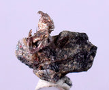 1cms NATIVE SILVER WIRES Peru Uchuchaccua Mine 2000 Discovery Mineral Specimen H273