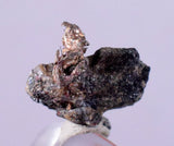 1cms NATIVE SILVER WIRES Peru Uchuchaccua Mine 2000 Discovery Mineral Specimen H273