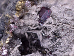 6.6cm PROUSTITE RUBY SILVER Uchuchaccua Mine Crystal Peru Mineral Specimen H264