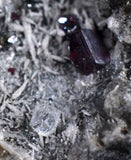 6.6cm PROUSTITE RUBY SILVER Uchuchaccua Mine Crystal Peru Mineral Specimen H264