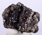 3.8cms SPHALERITE PYRITE Crystals Mineral Specimen Peru Collector M201