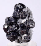 3.4cms SPHALERITE QUARTZ PYRITE Crystals Mineral Specimen Peru Collector M203