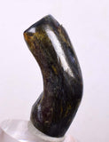 34cms GOLDEN BLACK CORAL Natural Branch Sea Genuine for Pendant Beads Jewelry Cabochon Peru ve80