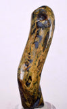 34cms GOLDEN BLACK CORAL Natural Branch Sea Genuine for Pendant Beads Jewelry Cabochon Peru ve80