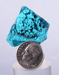 2.9cms BLUE MALACHITE BOTRYOIDAL Peru Crystals Grape Spheres Shiny Sparkling Translucent New Find Stalactite Others Minerals Specimensn U431