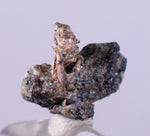 1cms NATIVE SILVER WIRES Peru Uchuchaccua Mine 2000 Discovery Mineral Specimen H273
