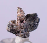 1cms NATIVE SILVER WIRES Peru Uchuchaccua Mine 2000 Discovery Mineral Specimen H273