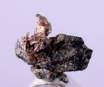 1cms NATIVE SILVER WIRES Peru Uchuchaccua Mine 2000 Discovery Mineral Specimen H273
