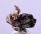 1cms NATIVE SILVER WIRES Peru Uchuchaccua Mine 2000 Discovery Mineral Specimen H273