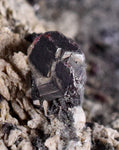 6.6cms PROUSTITE RUBY SILVER Acanthite Crystals Uchucchacua Mine Peru Mineral Specimen H279
