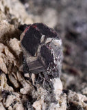 6.6cms PROUSTITE RUBY SILVER Acanthite Crystals Uchucchacua Mine Peru Mineral Specimen H279