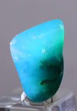 6.5 carats GEM SILICA CHRYSOCOLLA Chalcedony Lily Mine Peru Tumbled Quartz B931
