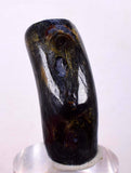 34cms GOLDEN BLACK CORAL Natural Branch Sea Genuine for Pendant Beads Jewelry Cabochon Peru ve80